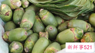 嚼槟榔为什么上瘾