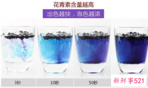 假黑枸杞泡水后什么颜色