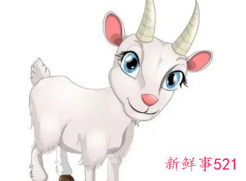 1991年属羊的性格和脾气