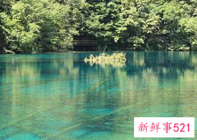 梦见清澈的水是什么意思