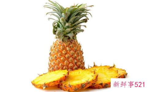 菠萝生长图片