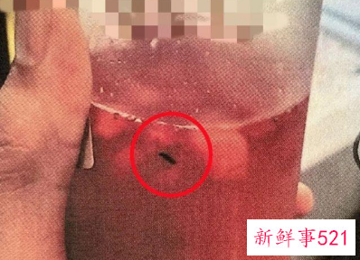 男子放虫碰瓷奶茶店9万余元获刑