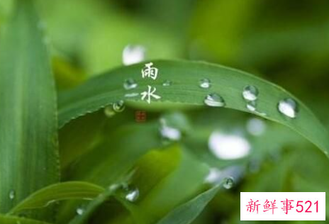 雨水节气的含义是什么
