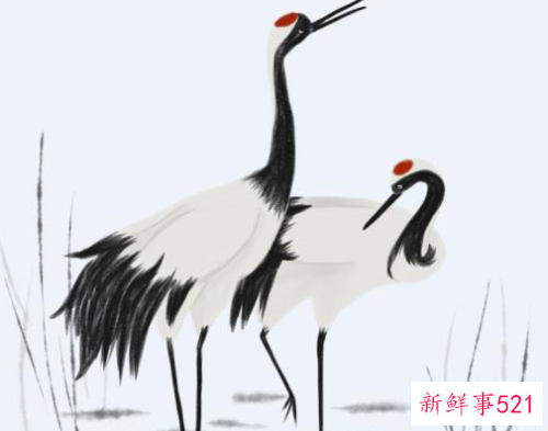 梦见孕妇梦见仙鹤有什么征兆