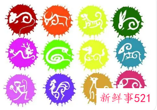 十二生肖吉祥颜色和数字