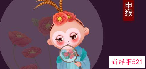 属猴人的幸运数字