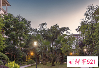 下雨天看房吉利吗