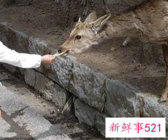 暑假带孩子去哪里玩