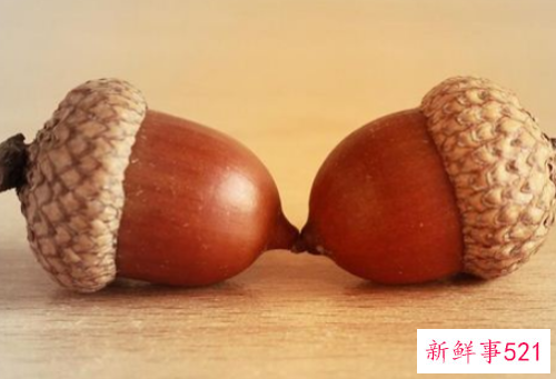 梦见橡子橡果什么意思