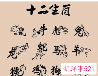 十二生肖吉祥颜色和数字