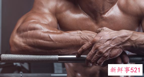 锻炼全身肌肉的锻炼方法