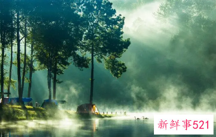 梦见到商场购物有什么征兆