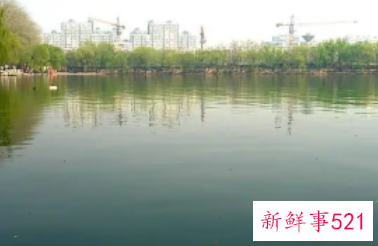 梦见亲人在水边