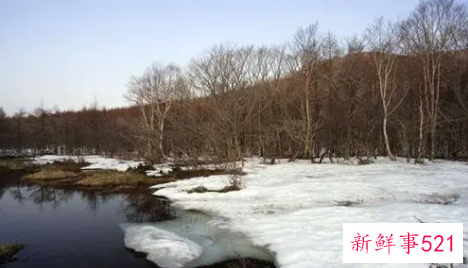 梦见融化有什么征兆