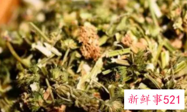 益母草什么时候喝最好