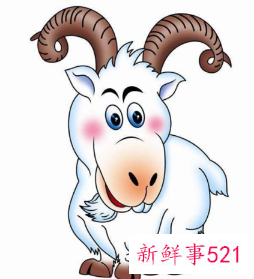 91年属羊的属相婚配表