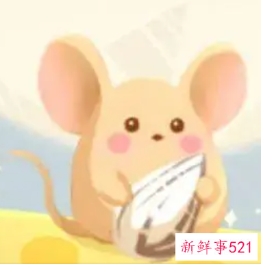 已婚女人梦到老鼠是胎梦吗