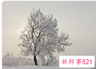 梦见寒冷是什么意思