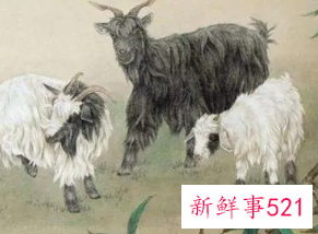 属羊命几月最苦