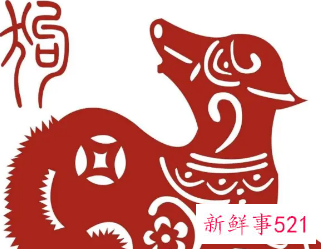 属狗生肖和什么生肖配