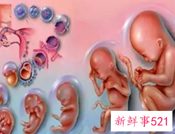 疤痕子宫孕几个月最危险