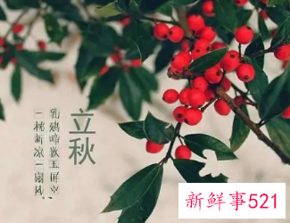 立秋节气的特点和风俗