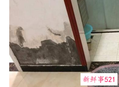 外墙潮湿发霉怎么处理