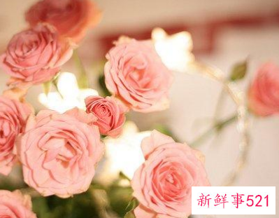 最暖心的早安问候语短句