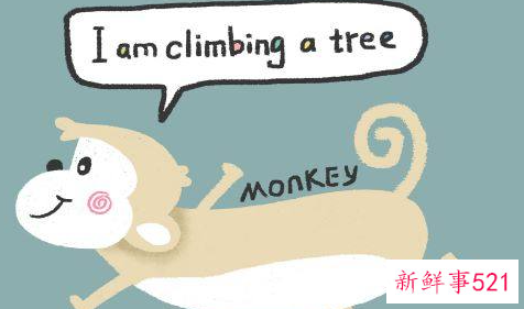 属猴人的幸运数字