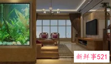 客厅鱼缸摆放西北方向