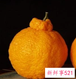 丑八怪水果的作用与功效