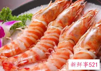 大虾与小虾的营养价值