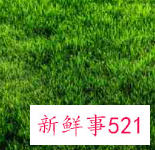 五十岁最漂亮的女人头像