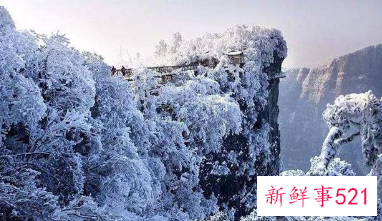 张家界雾凇什么时候有