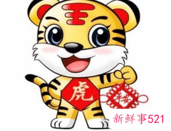 2022年属虎的幸运颜色