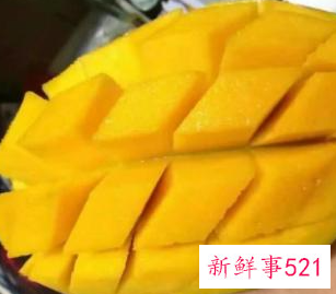 芒果好硬怎么催熟