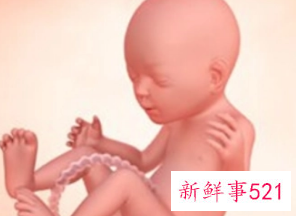 怀孕37周胎儿大小