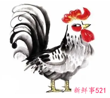 81年属鸡的手机尾号