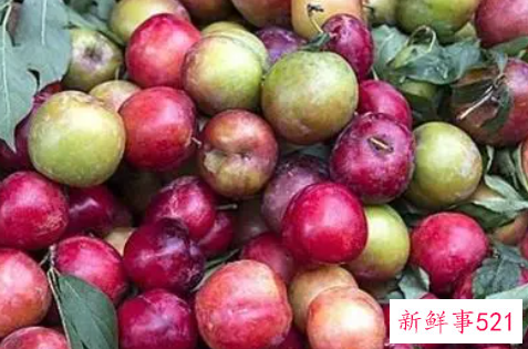 便秘吃李子好处多多