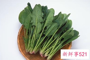 春季适合吃的蔬菜视频