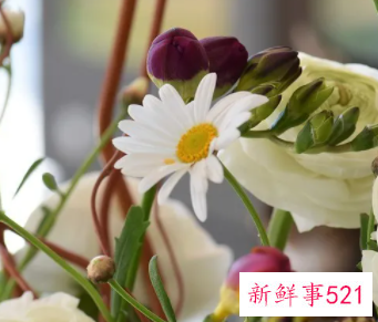 走出失恋阴霾的小技巧