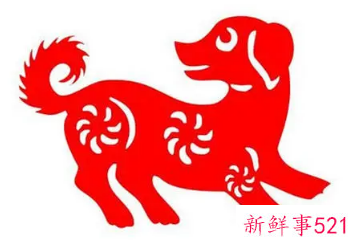 属狗生肖和什么生肖配