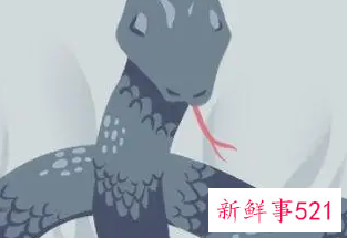 梦见放生蛇什么意思