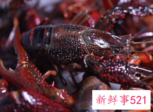 小龙虾怎么做肉比较紧实