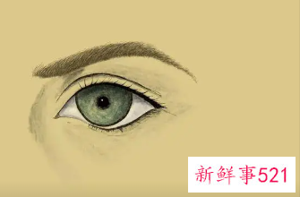 眼神与眼神的交流