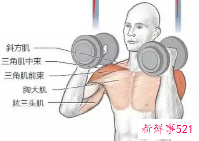 怎么锻炼肩头肌比较好