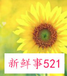 五十岁最漂亮的女人头像