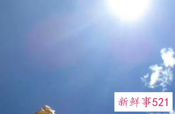 梦见被光刺得睁不开眼睛被惊醒