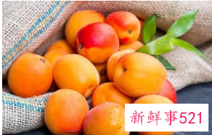 杏子的功效与作用