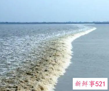 梦见涨潮是什么意思